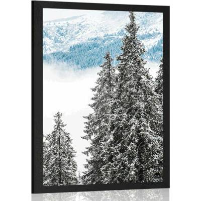 Plakát zasněžené borové stromy - 30x45 black