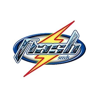 Flash Seeds Russian Fuel AUTO semena neobsahují THC 3 ks