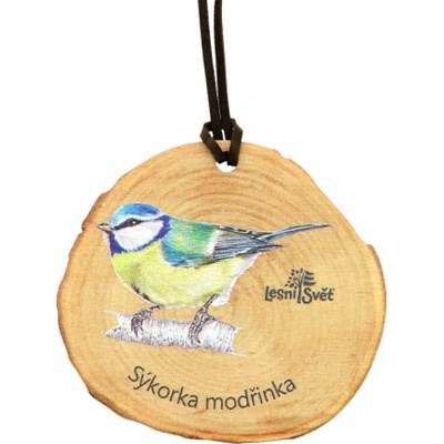Lesní svět Dřevěná medaile letokruh sýkora modřinka – Zboží Dáma