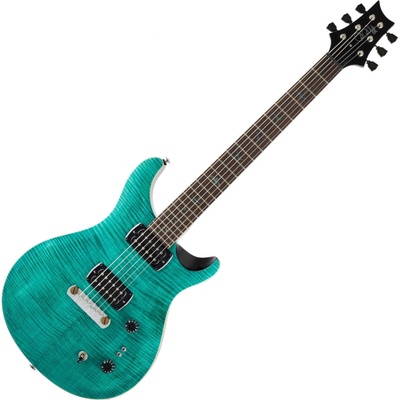 PRS SE Paul's Guitar