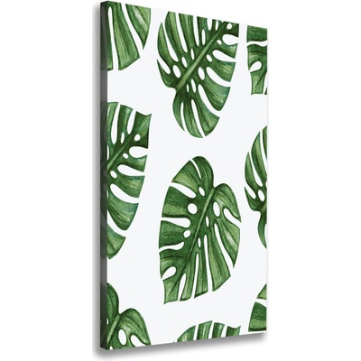 Vertikálny foto obraz na plátne do obývačky Monstera 50x100 cm