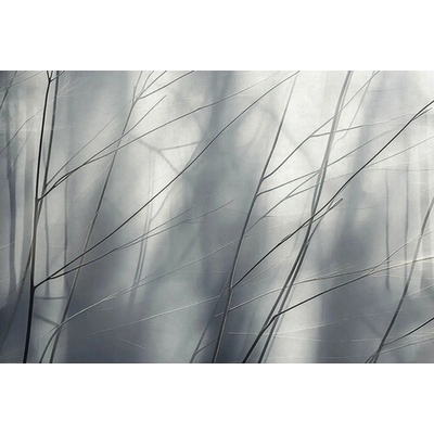 Fototapeta vliesová 22088-07-01 GMK Art Edition 2 Aeris šedá 8dílná 400 x 270 cm