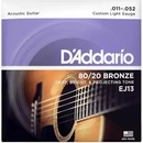 Daddario EJ13