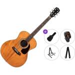 Pasadena PG-450 All Solid Premium SET Vintage Natural Джъмбо китара