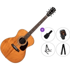 Pasadena PG-450 All Solid Premium SET Vintage Natural Джъмбо китара