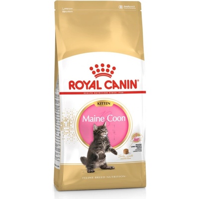 Royal Canin Maine Coon Kitten 4 kg – Hledejceny.cz