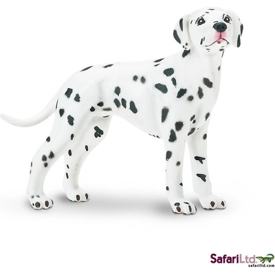 Safari Dalmatian