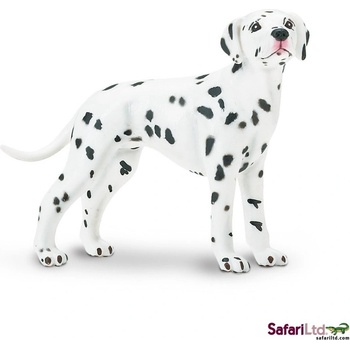 Safari Dalmatian