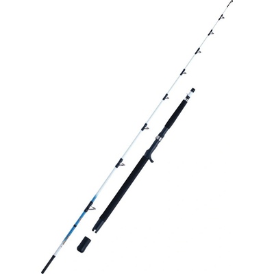 WFT Sensea 2,1 m 30-300 g 2 díly
