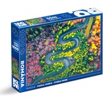 ROOVI - Puzzle Cheia Pass - 1 000 piese