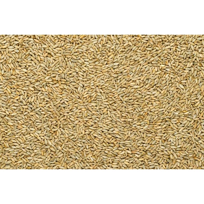 ProBio Žito ozimé BIO 25 kg – Zboží Dáma