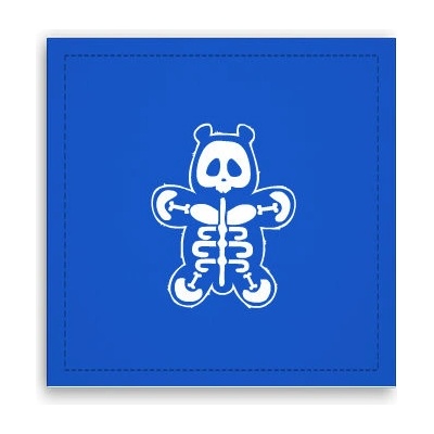 Fotoobraz 40x40 cm Panda rentgen