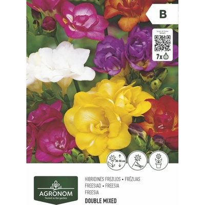 Seklos Фрезия Двойна Микс Freesia Double Mixed - 7 бр луковици