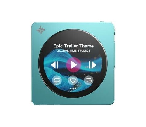 FiiO Snowsky Disc