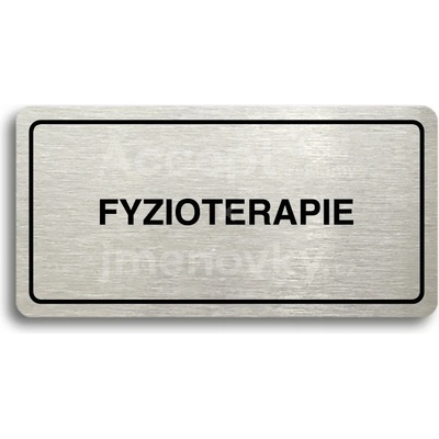 ACCEPT Piktogram FYZIOTERAPIE - stříbrná tabulka - černý tisk