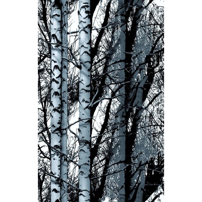 D-C-Fix 200-3197 Samolepicí fólie D-C-Fix břízy šíře 45 cm