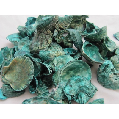 Tica Global affairs Mušle ústřice green 325 g