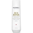 Goldwell Dualsenses Rich Repair regenerační šampon pro suché a poškozené vlasy Shampoo 100 ml