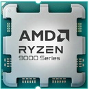 AMD Ryzen 9 9950X3D 100-000000719