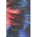 Proměny maskulinit