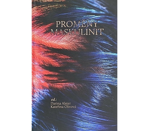 Proměny maskulinit