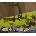 Hidden Objects: Tranquil Valley