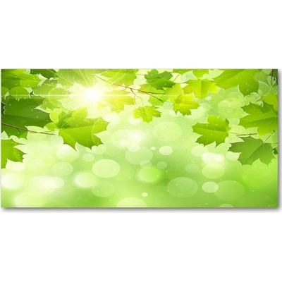Foto obraz sklo tvrzené lístie gaštanu 100x50 cm