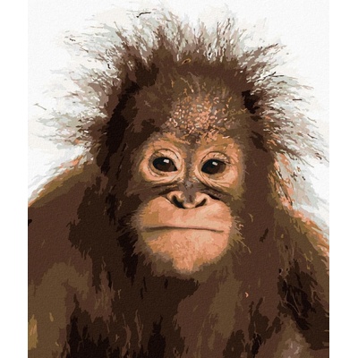 Malování podle čísel Mladý orangutan