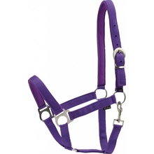 HorseGuard Ohlávka se stříbrným kováním Nylon purple