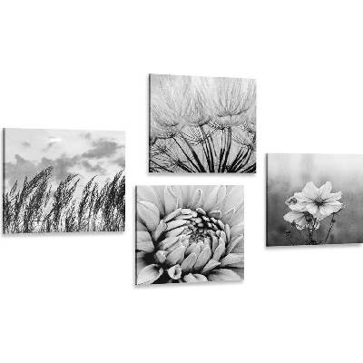 Set obrazů černobílá louka s květinami - 4x 60x60