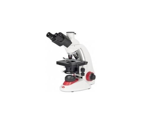 Intraco RED-233
