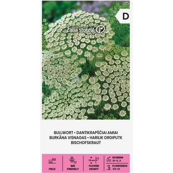 Image 1 of Seklos Епископска трева Bullwort Ammi visnaga