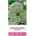 Seklos Епископска трева Bullwort Ammi visnaga