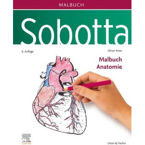 Sobotta Malbuch Anatomie | Holger Keller (ISBN: 9783437412646)