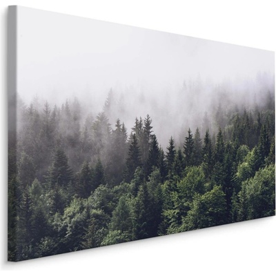 Plátno Les v Ranní Mlze Varianta: 70x50