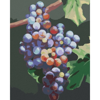 zuty Malování Podle Čísel Modré Hrozno Myroslava Voloschuk 40 x 50 Cm Plátno Rám