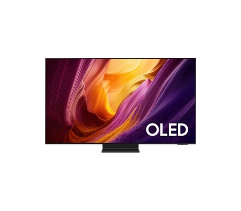 Samsung QE77S95HFT