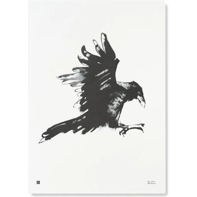 Teemu Järvi Plakát s motivem havrana Raven 50x70