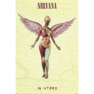 NNM плакат NIRVANA - In Utero - PP35113