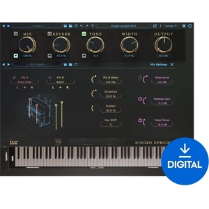 Boz Digital Labs Ningbo Upright 2021 Pro (Дигитален продукт)