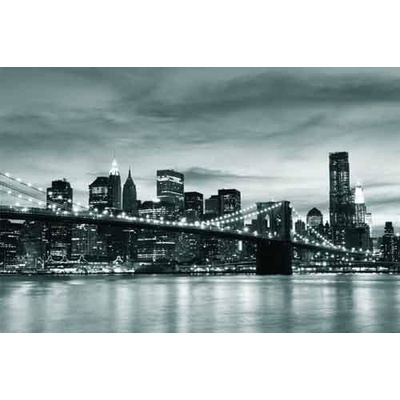 IMPOL TRADE 011VE Vliesová fototapeta Brooklyn Bridge rozmer 312 cm x 219 cm