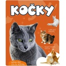 Kočky