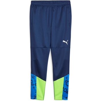 PUMA Панталони Puma individualCUP Training Pants 658487-54 Размер L