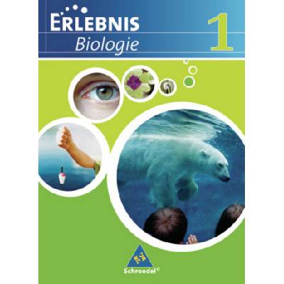 5./6. Schuljahr