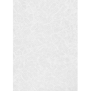 ELBE Фолио за басейн Pearl Premium Line - White - Дебелина 1, 6 мм / 25 x 1, 65 м (530300209)