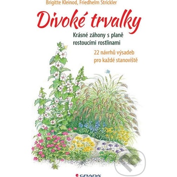 Divoké trvalky