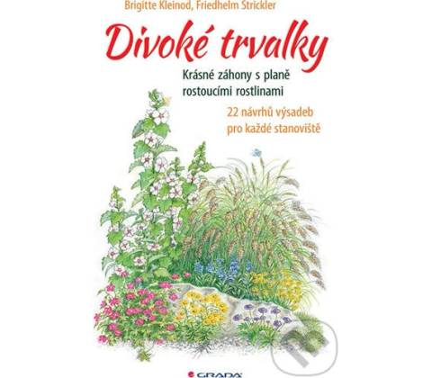 Divoké trvalky
