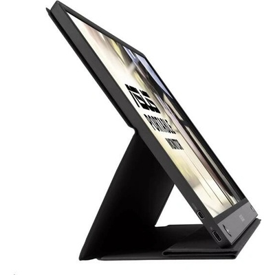 Asus MB16AHP