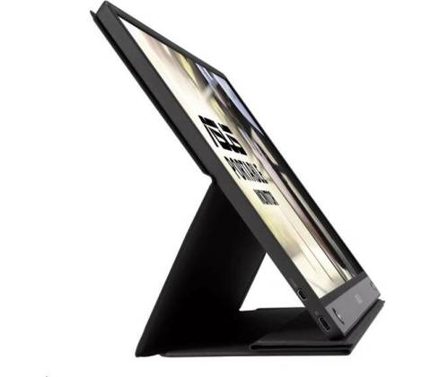 Asus MB16AHP