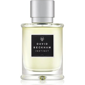 David Beckham Instinct toaletní voda pánská 75 ml